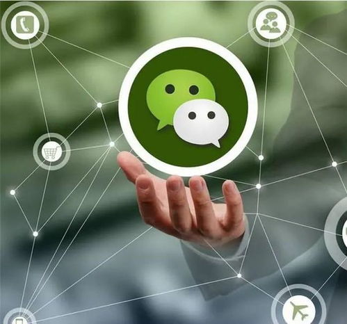 网络技术服务 职业“养号”与电诈幕后推手的灰色产业链