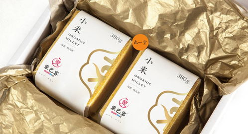 东巴客 休闲食品餐饮品牌全案设计与图文制作的艺术融合